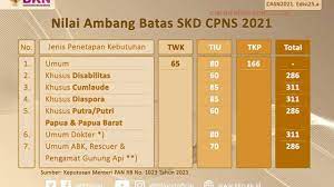 Passing Grade Seleksi CPNS Tahun 2021